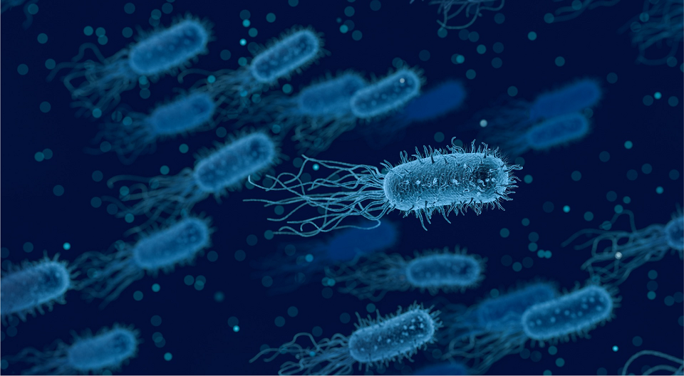 Kehossamme on itseasiassa enemmän bakteerigeenejä kuin ihmisen geenejä!